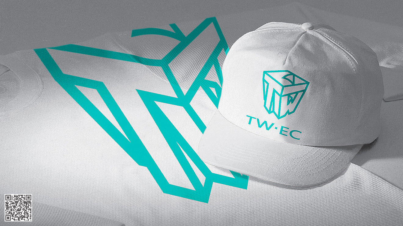 企業(yè)品牌設(shè)計方案模板_企業(yè)品牌推廣策劃書