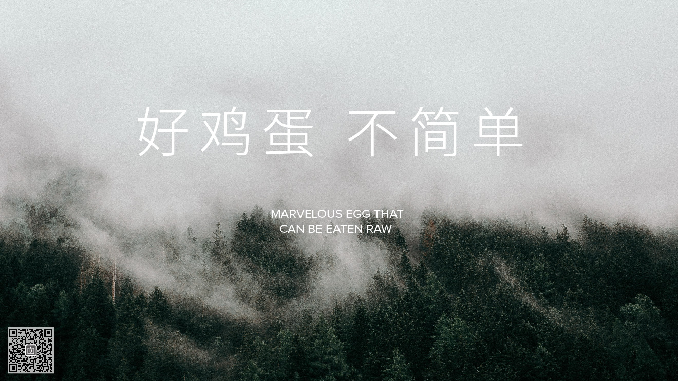 企業(yè)形象設(shè)計(jì)、凸顯品牌個(gè)性