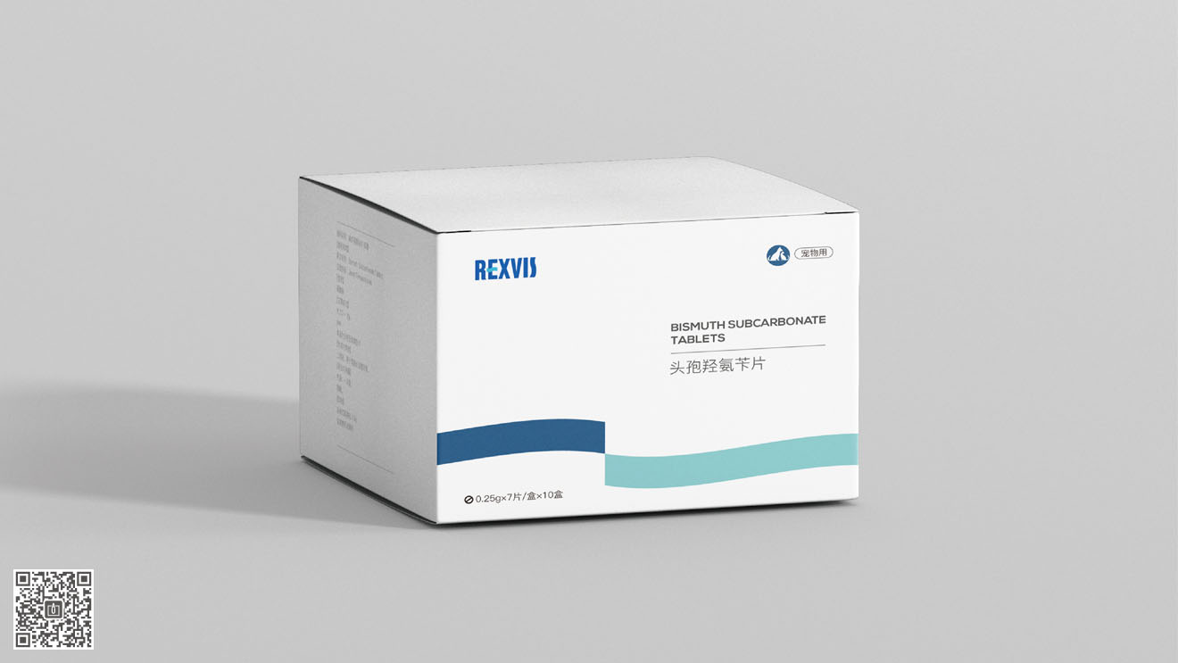 REXVIS力維士品牌&營銷包裝策劃設(shè)計(jì)